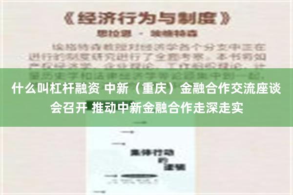 什么叫杠杆融资 中新（重庆）金融合作交流座谈会召开 推动中新金融合作走深走实