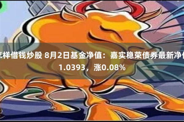 怎样借钱炒股 8月2日基金净值：嘉实稳荣债券最新净值1.0393，涨0.08%