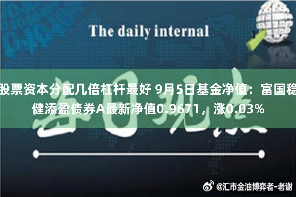 股票资本分配几倍杠杆最好 9月5日基金净值：富国稳健添盈债券A最新净值0.9671，涨0.03%